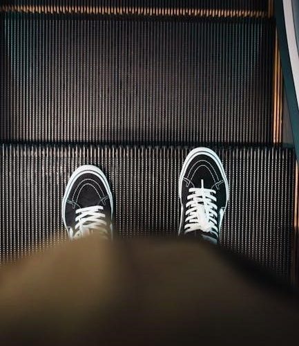 step into action sa pdf